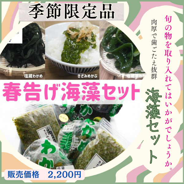 季節限定の海藻セット(めかぶ効果）